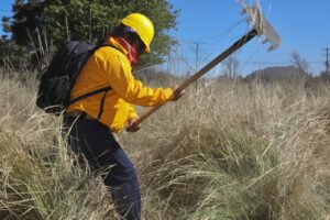 Bajo control incendios forestales 3 - Morelia Informativo