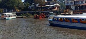 Cuidados Lago de Pátzcuaro 2 - Morelia Informativo