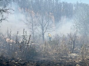 Incendios en Morelia-Morelia Informativo2