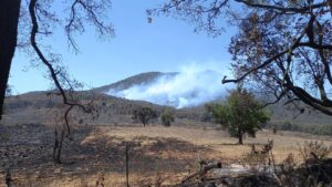 Incendios forestales cofom-Morelia Informativo2