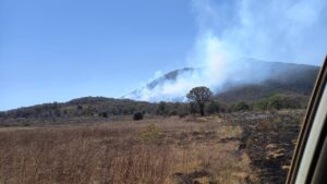 Incendios forestales cofom-Morelia Informativo1