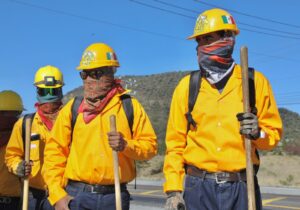 bajo control incendios forestales 2 - Morelia Informativo