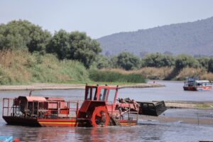 Plantación de Arboles: Gobierno del Estado-Morelia Informativo3