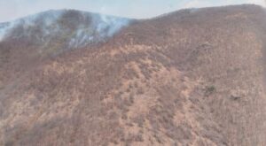 Incendio Forestal en Cerro Verde: SSP-Morelia Informativo1