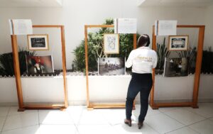 Exposición Gráfica "Más allá del cuerpo": FGE-Morelia Informativo2