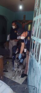 FGE rescata ejemplar canino en condiciones de Maltrato animal-Morelia Informativo1