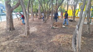 Jornada de Limpieza Integral en Colonia Cosmos: Ayuntamiento de Morelia-Morelia Informativo1