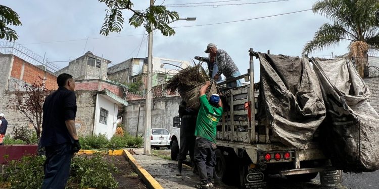 Brigada de Limpieza: Ayuntamiento de Morelia-Morelia Informativo
