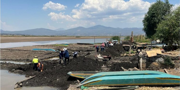 Empleos Temporales por el Rescate del Lago de Pátzcuaro: Secma-Morelia Informativo