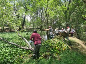 Empleos Temporales por el Rescate del Lago de Pátzcuaro: Secma-Morelia Informativo2