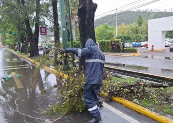 Ayuntamiento retiro 60 toneladas residuos - Morelia Informativo
