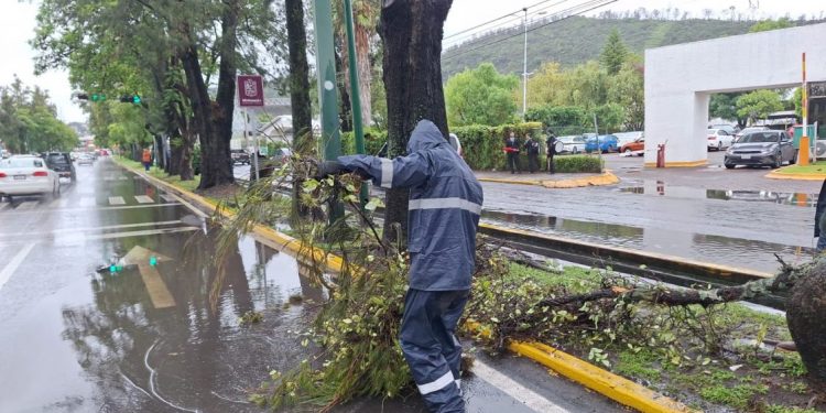 Ayuntamiento retiro 60 toneladas residuos - Morelia Informativo