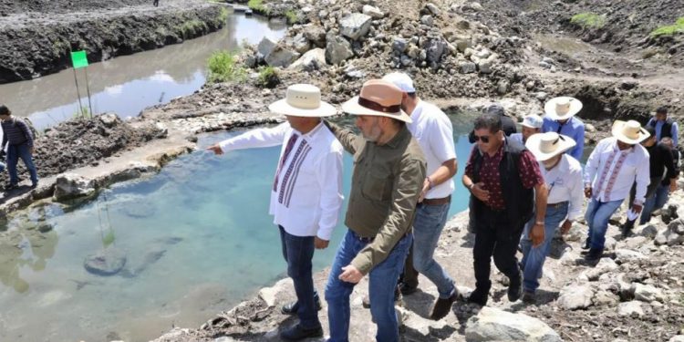 15 Manantiales recuperados en Uruandén-Morelia Informativo