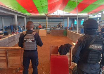 Palenque clandestino en Maravatío: SSP-Morelia Informativo