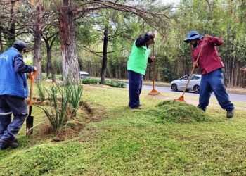 Limpieza en el Boulevard Jefferson: Morelia Informativo