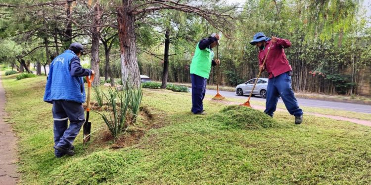 Limpieza en el Boulevard Jefferson: Morelia Informativo