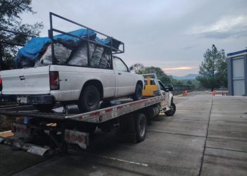 Hombre detenido por cometer delitos contra el ambiente: FGE-Morelia Informativo