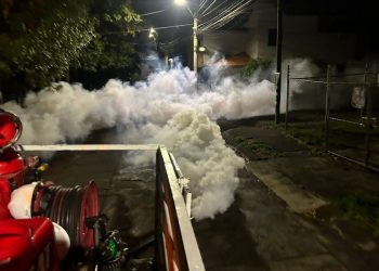 Cero Dengue con Patio Limpio-Morelia Informativo