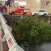 Operativo de Atención tras tormenta eléctrica- Morelia Informativo