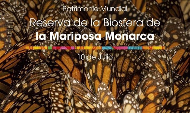 Biosfera de la Monarca: Sectur-Morelia Informativo
