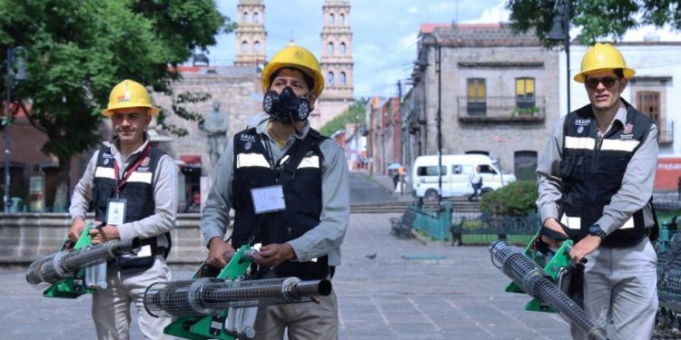 Combate el Dengue: SSM-Morelia Informativo