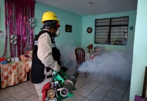 Combate el Dengue: SSM-Morelia Informativo2