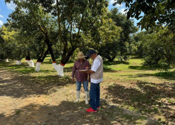 Multas a empresas aguacateras-Morelia Informativo