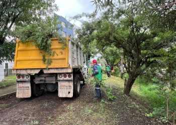 Brigadas de limpieza-Morelia Informativo