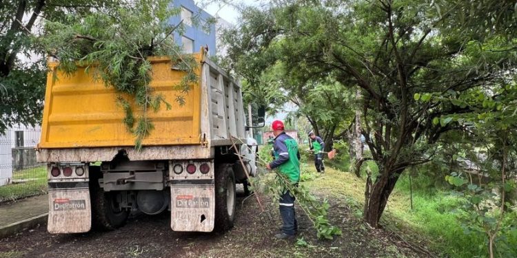 Brigadas de limpieza-Morelia Informativo