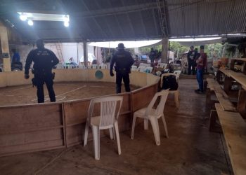 Desactivado Palenque Clandestino: SSP-Morelia Informativo