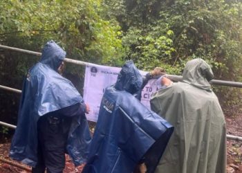 Predio Relacionado con Delitos Ambientales-Morelia Informativo