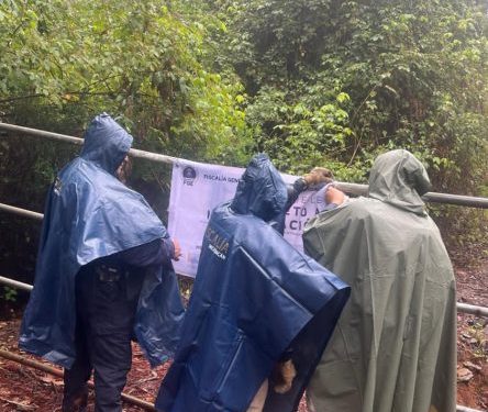 Predio Relacionado con Delitos Ambientales-Morelia Informativo