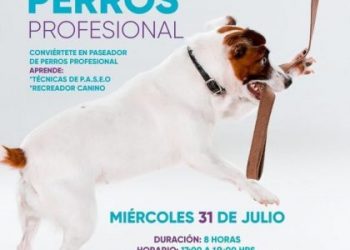 Taller de Paseador de Perros-Morelia Informativo
