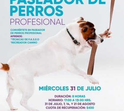 Taller de Paseador de Perros-Morelia Informativo