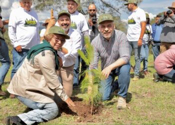 Reforestación Simultánea: Cofom-Morelia Informativo