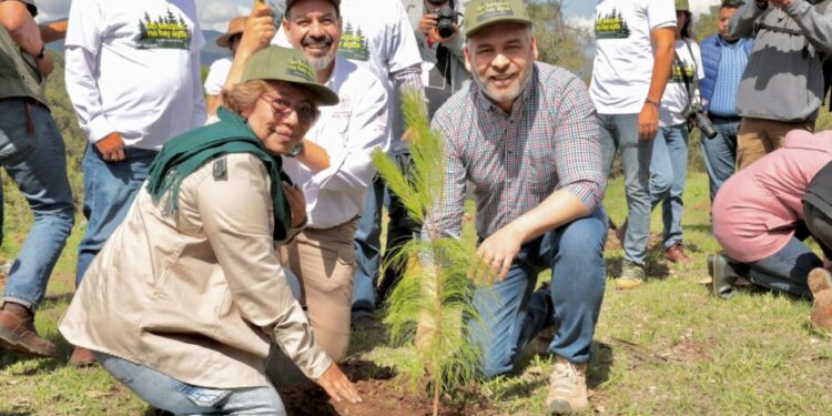 Reforestación Simultánea: Cofom-Morelia Informativo