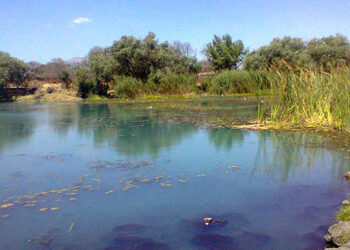 Secma Reforestación La Mintzita-Morelia Informativo