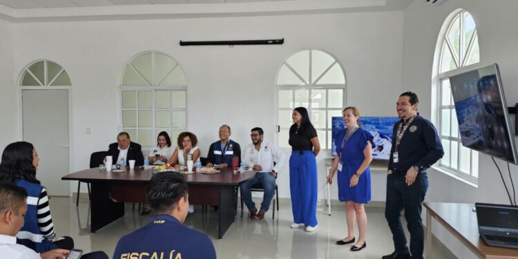 Atención a la discapacidad y a la accesibilidad-Morelia Informativo