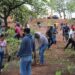 Reforestación en Área Natural Protegida Mesa de Tzitzio-Morelia Informativo