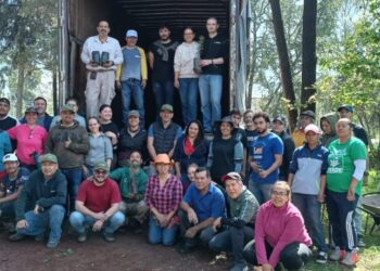 Reforestación a bosques y cuevas-Morelia Informativo