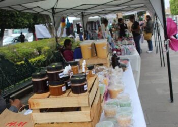 Gobierno de Morelia Impulsa el emprendimiento juvenil-Morelia Informativo