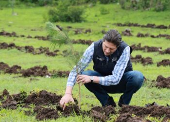 Van 800 mil árboles reforestados en lo que va de la administración de Alfonso Martínez-Morelia Informativo