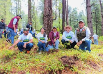 Michoacán Reforesta-Morelia Informativo