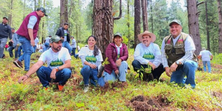 Michoacán Reforesta-Morelia Informativo