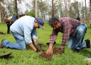 Reforesta Gobierno estatal Área Natural Protegida Piedra del Indio-Morelia Informativo