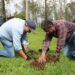 Reforesta Gobierno estatal Área Natural Protegida Piedra del Indio-Morelia Informativo