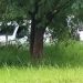 Fosa Clandestina en Tarímbaro-Morelia Informativo