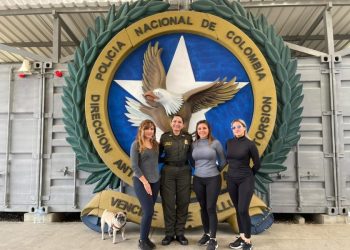 Operaciones Especiales Antisecuestro y Antiextorsión - Morelia Informativo