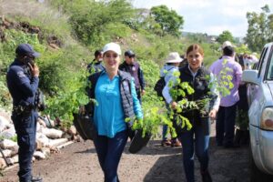 Reforestación a la zona protegida de Cerritos del Quinceo-Morelia Informativo1