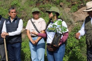 Reforestación a la zona protegida de Cerritos del Quinceo-Morelia Informativo3